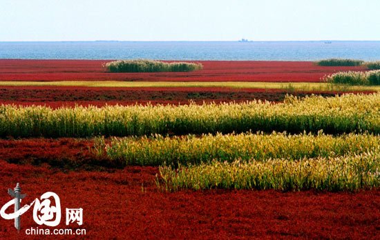Paisaje encantador en Humedales Panjin 10