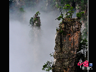 Mount Tianzi (Mount Heaven's Son) lies in the northwest of Wulingyuan and stands at a position of tripartite confrontation with Zhangjiajie National Park and Suoxi Valley. The mountain is provided with nearly 100 natural platforms for panoramic sightseeing.  It has more than 2000 stone peaks and dozens of waterfalls and springs. The sea of clouds, the wavelike stone ranges, the snow covered capes in the winter and the sunrise are most spectacular.[Photo by Zhuang Jun]
